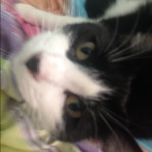 Meet your Posher, Kim